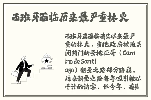 国产在线精品二区